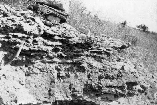 Outcrop of Neva limestone.