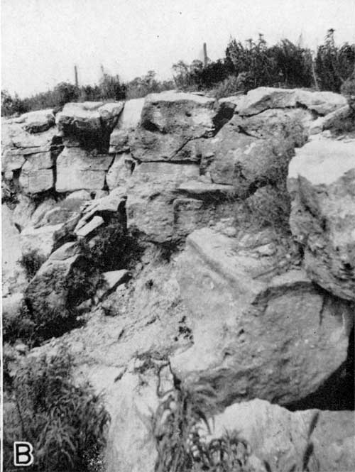 Thick bed of Cottonwood limestone at roadcut.