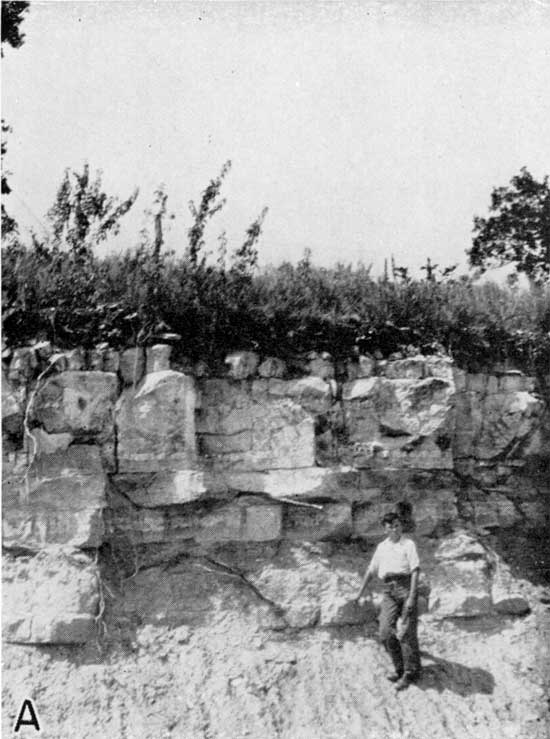 Outcrop shows thick limestone of Wreford above Speiser shale; person for scale.