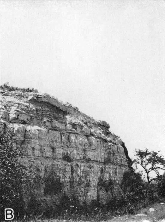 Steep quarry face exposing Barneston limestone.