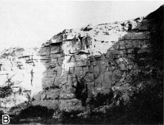 Steep quarry face exposing Barneston limestone.