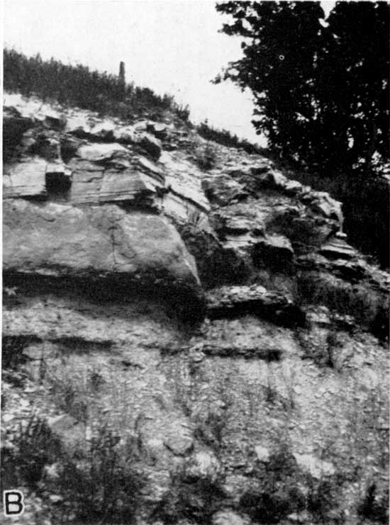 Black and white photo of Winfield limestone outcrop.