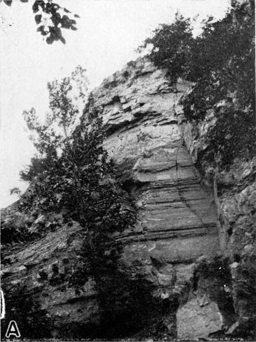 Cliff made of Barneston limestone.