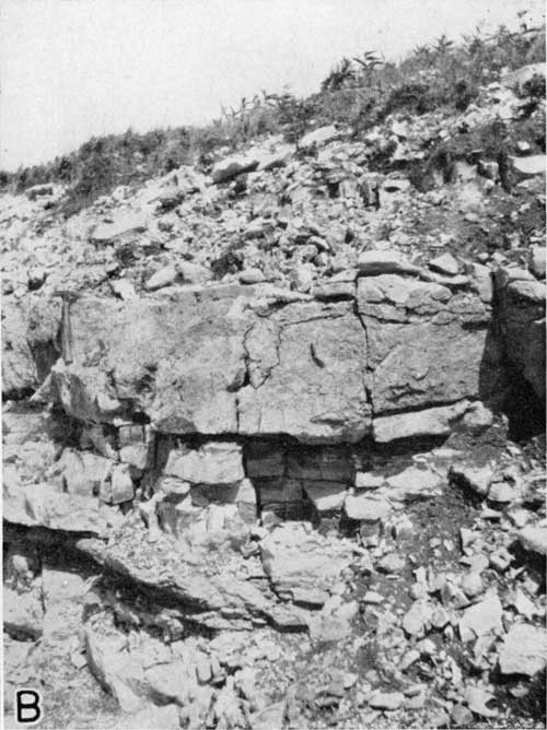 Rocky hillside with thick bed of Threemile limestone exposed.