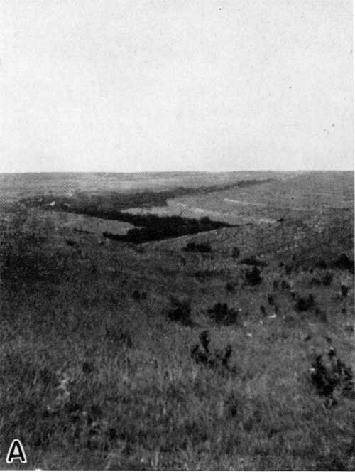 Gentle hills with wooded stream in center background; traces of limestone beds showing through grasses on hills.