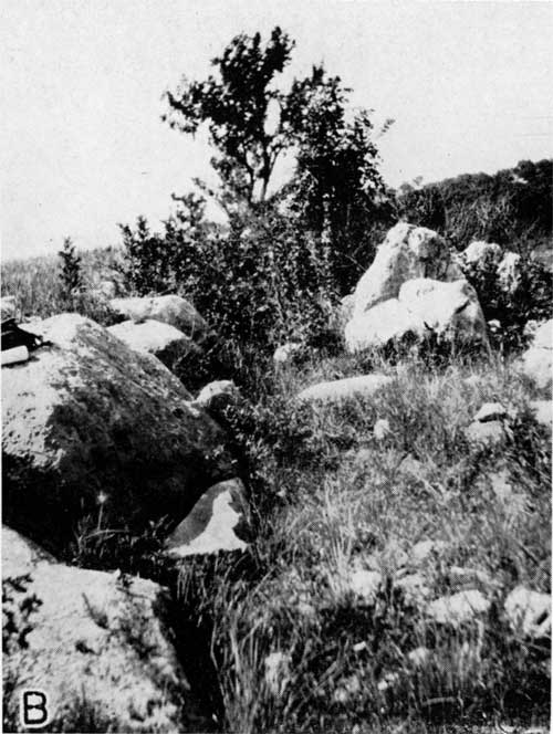 Rounded boulders on grassy hillside.