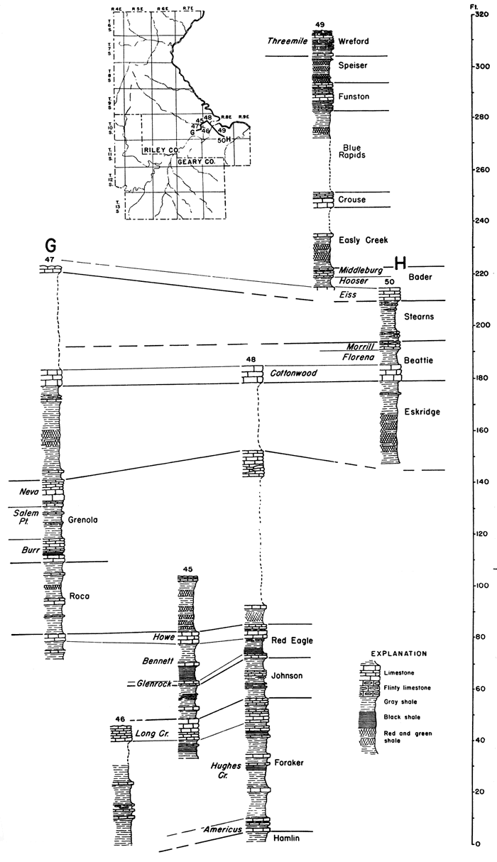 detailed columns