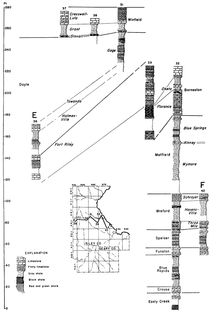 detailed columns