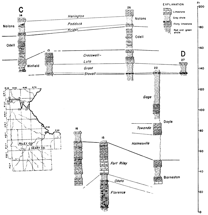 detailed columns