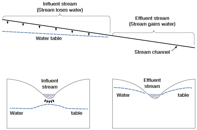 Diagrammatic sections showing influent and effluent streams.