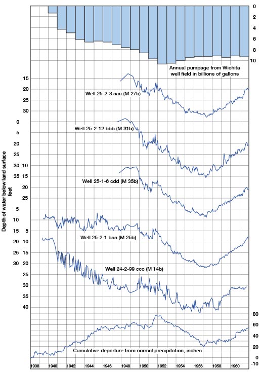 Hydrographs showing fluctuations of the water table.