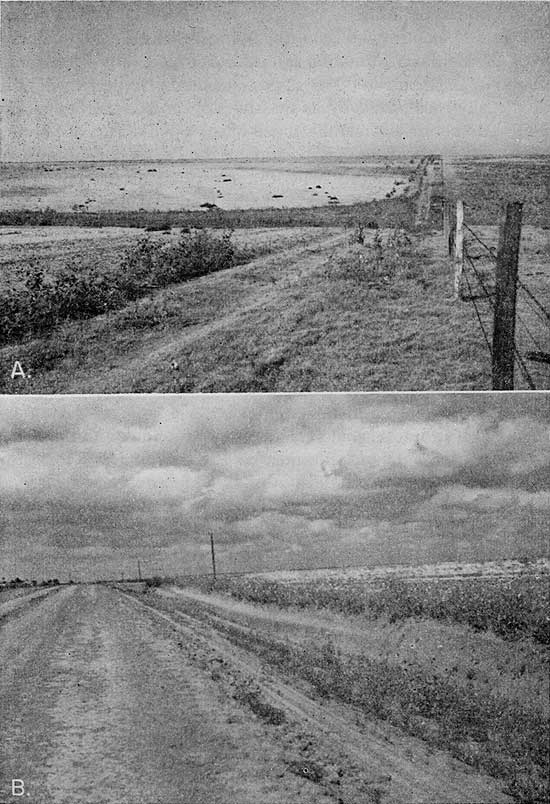 Two black and white photos of fields.
