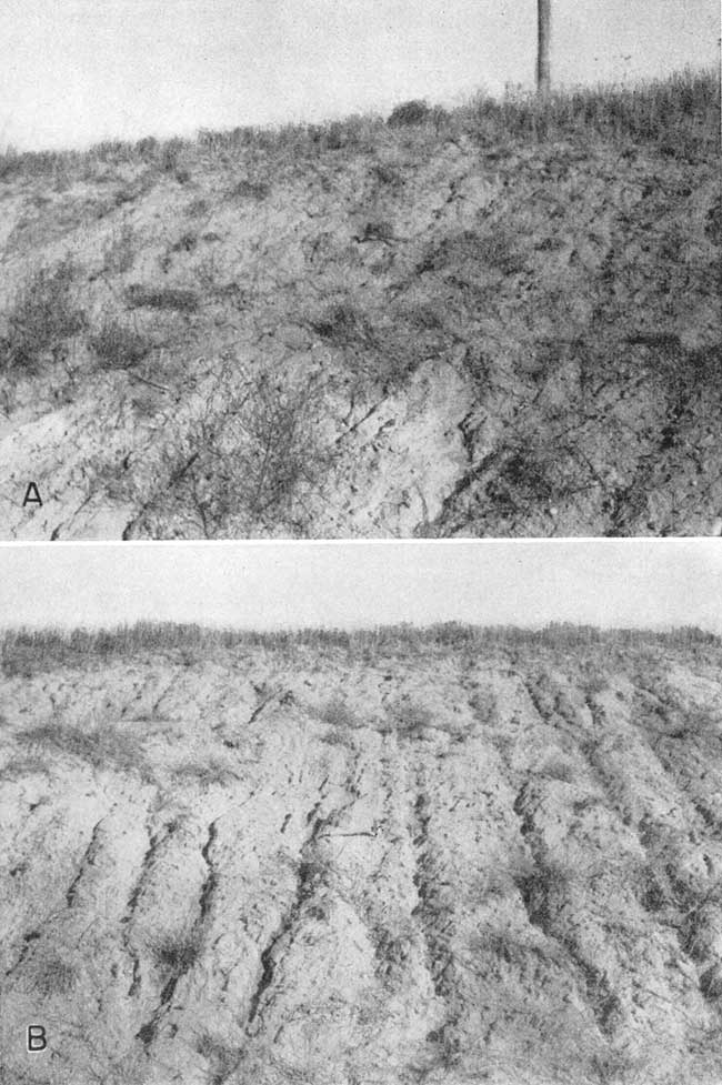 Black and white photos of loess outcrops; gentle slopes, look to be easily eroded; light gray.