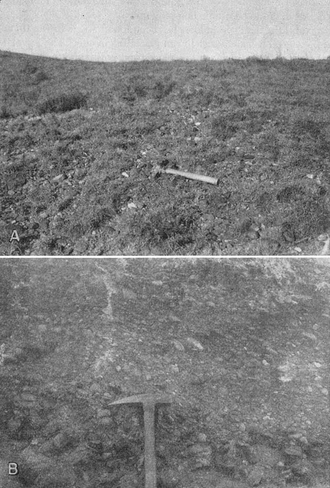 Black and white photos; top photo is of hilltop covered with gravel and grass; bottom is closeup of more cemented outcrop.