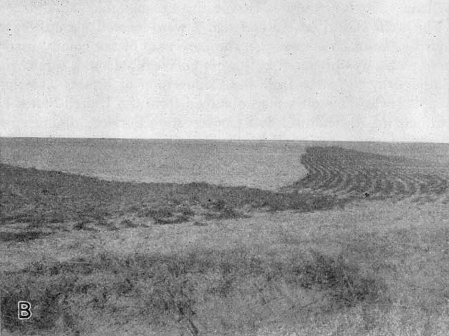 Very flat landscape; tilled soil in background and dried grasses in foreground.