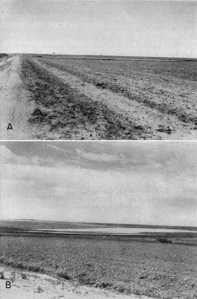 Two black and white photos; top photo is of small water-filled depression in tilled field, 20-30 feet across; second photo is of large depression, perhaps almost a quarter-section in area, within tilled fields, truck in foreground for scale.