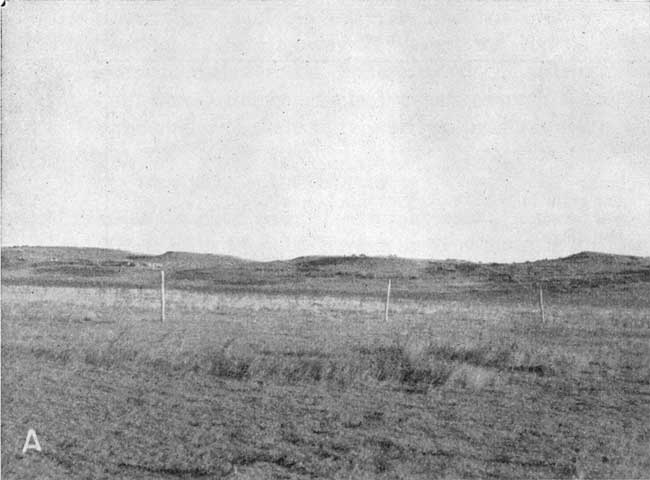 Bluffs in background of the photo with grassland in foreground.