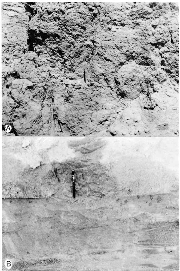 Top black and white photo: 4+ foot outcrop, pen for scale, mixture of sand, gravel, silt, and clay. Bottom black and white photo has very fine grained stream deposits, some cross bedding seen in photo.