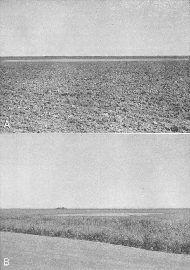 Two black and white photos of small, shallow depressions fileld with water.  Top one in withing plowed field, bottom in in pasture with foot-high forage.