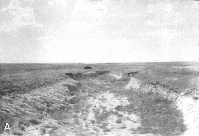 Photo is of dry creek bed, shallow but with steep sides.