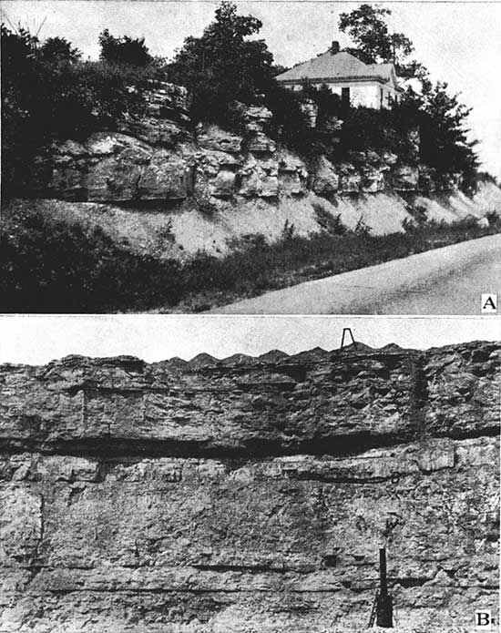 Black and white photos; top photo is of Wyandotte Ls beds, blocky and resistant above and eroded below; lower photo is limestone face in quarry, Plattsburg, Bonner Springs, and Wyandotte.