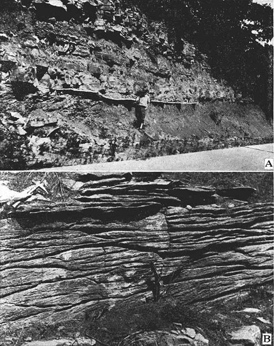 Black and white photos; top photo is of roadcut with Plattsburg LS and Bonner Springs SH; lower photo is limestone face in quarry, Plattsburg, Bonner Springs, and Wyandotte.