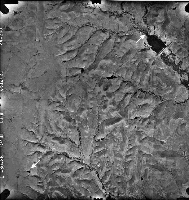 black and white photo of part Rosalia NE quad