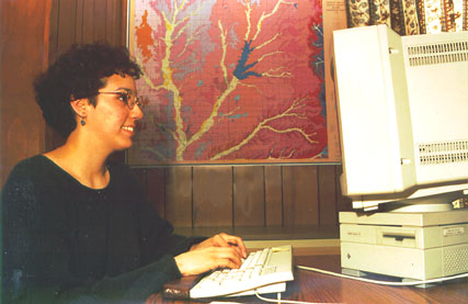workstation used for interactive map editing