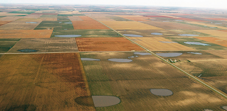Aerial photo of playas in Scott County