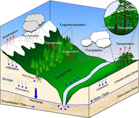 Block diagram showing water cycle.