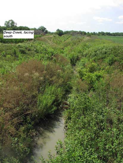 View of narrow stream; bank covered in bushes