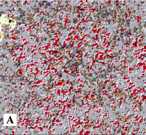 Seismic lineament map