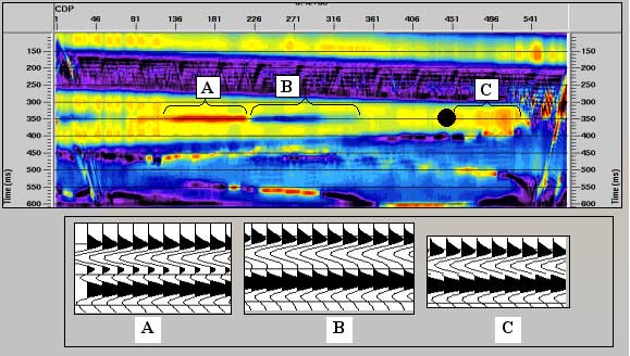 Color display of frequence and black and white wiggle traces of amplitude