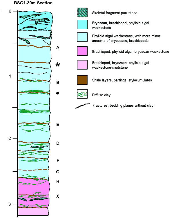 Top is Skeletal Fragment packstone; majority is Phylloid algal wackstone.