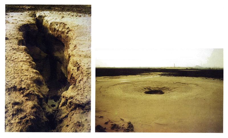 two photos showing outbreak spots