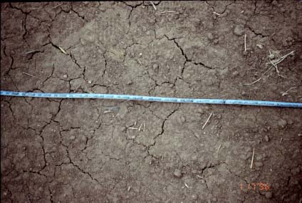 Tape (lying on ground) covered with blue chalk.