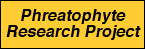Phreatophyte Research Project home