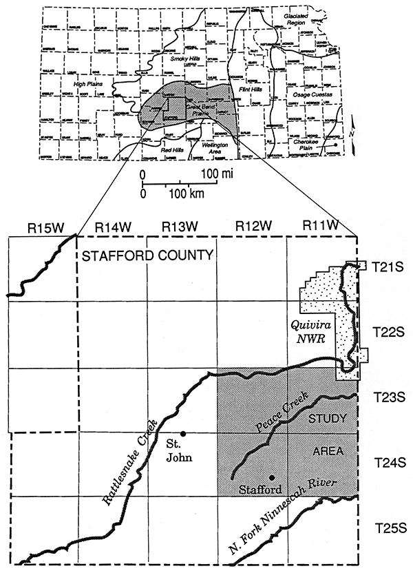 Stafford County located in south-central Kansas; study area contains Peace Creek and is south of Quivira National Wildlife Refuge.