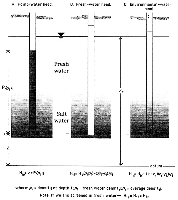 Heads in ground water of variable density (after Lusczynski, 1961).