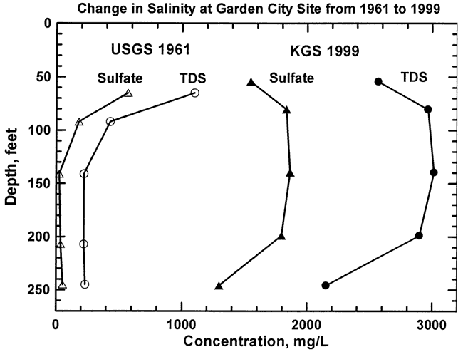 Values are higher in 1999 than in 1961, and profile shows higher values at middle depth; in 1961 high values were at top, deeper values very low.
