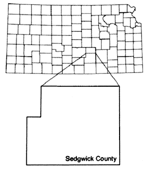 Sedgwick County is in south-central Kansas.