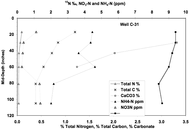 NH4-N drops from 4.5 ppm at 20 in. to 2 ppm below 80 in.; NO3-N at 1 ppm for most of depth, close to 0 at 30-60 in. 