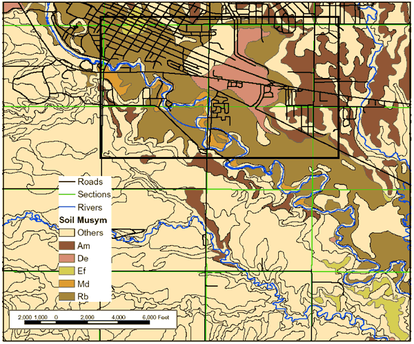 Soils map for study area. 