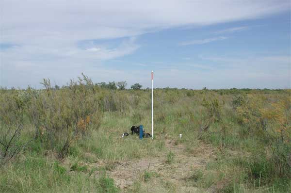 Well surrounded by grasses and a few small salt cedars.