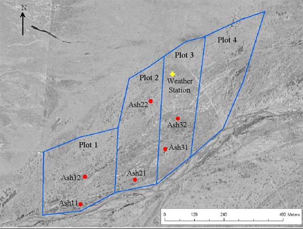 Aerial photo of four plots; two wells each in plots 1, 2, and 3; weather station in north of plot 3.