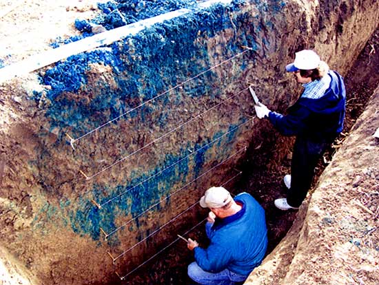 Uniform finger front from Brilliant Blue dye tracer experiment at site R8.