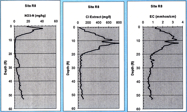 Soil nitrate, chloride, and electrical conductivity plotted against depth for site R8.