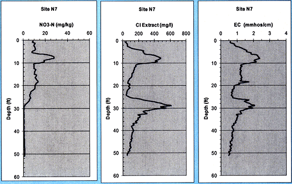 Soil nitrate, chloride, and electrical conductivity plotted against depth for site N7.