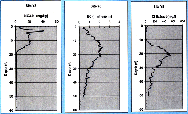 Soil nitrate, chloride, and electrical conductivity plotted against depth for site Y8.