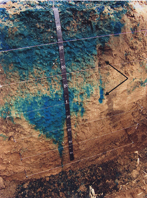 Color photo of funnel finger front from brilliant-blue dye-tracer experiment at site N7.